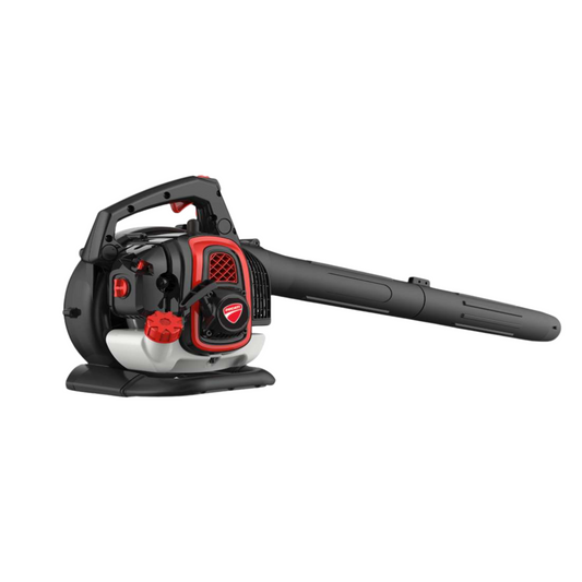 Soplador de Mano Ducati a Nafta DBL63VA48S 26CC