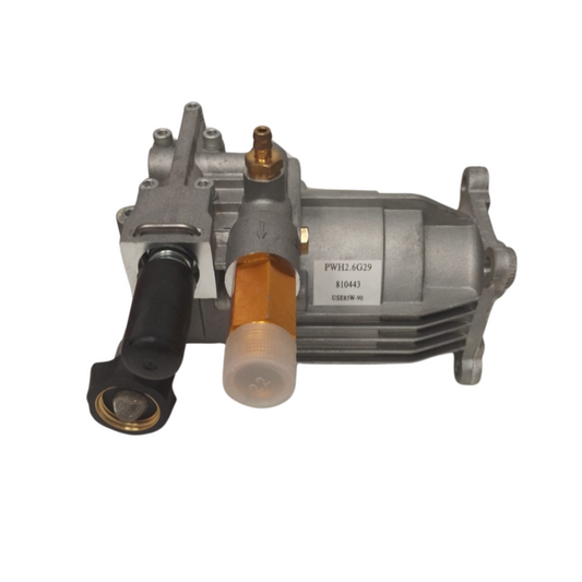 DPW893100G/P1/27 Bomba Completa DPW3100G