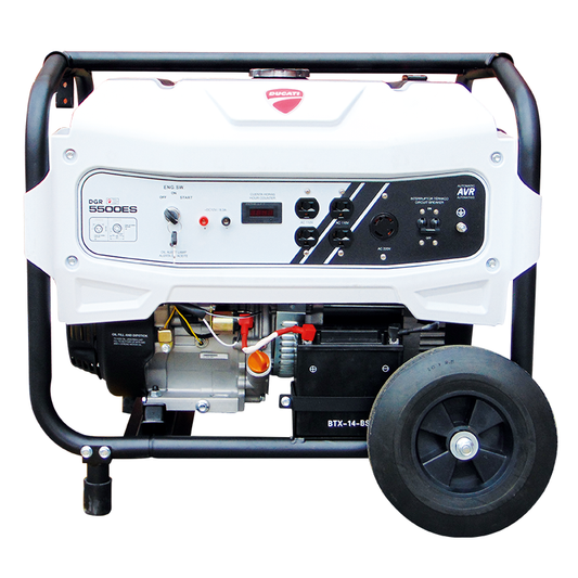 Generador Ducati Dgr5500 Monofasico