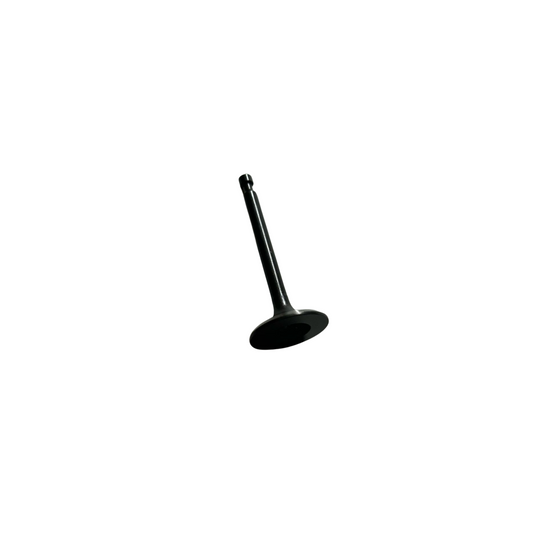 DLM5600EM/P1/3 2 Valvula Escape DLM5600E